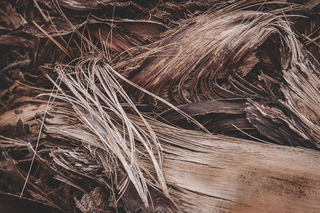 Avant après blanchiment cheveux poivre et sel