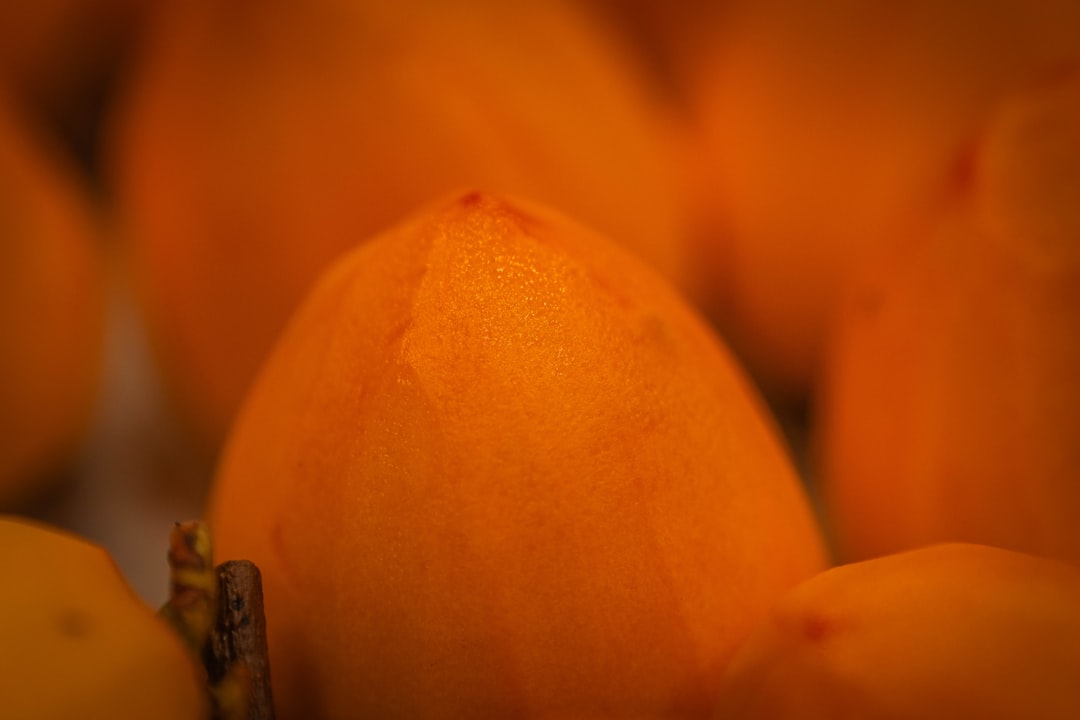Flocons d'avoine anti-graisse abdominale