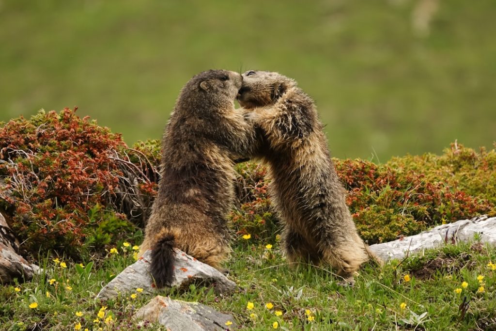 Deux-personnes-hesitent-premier-pas-amour