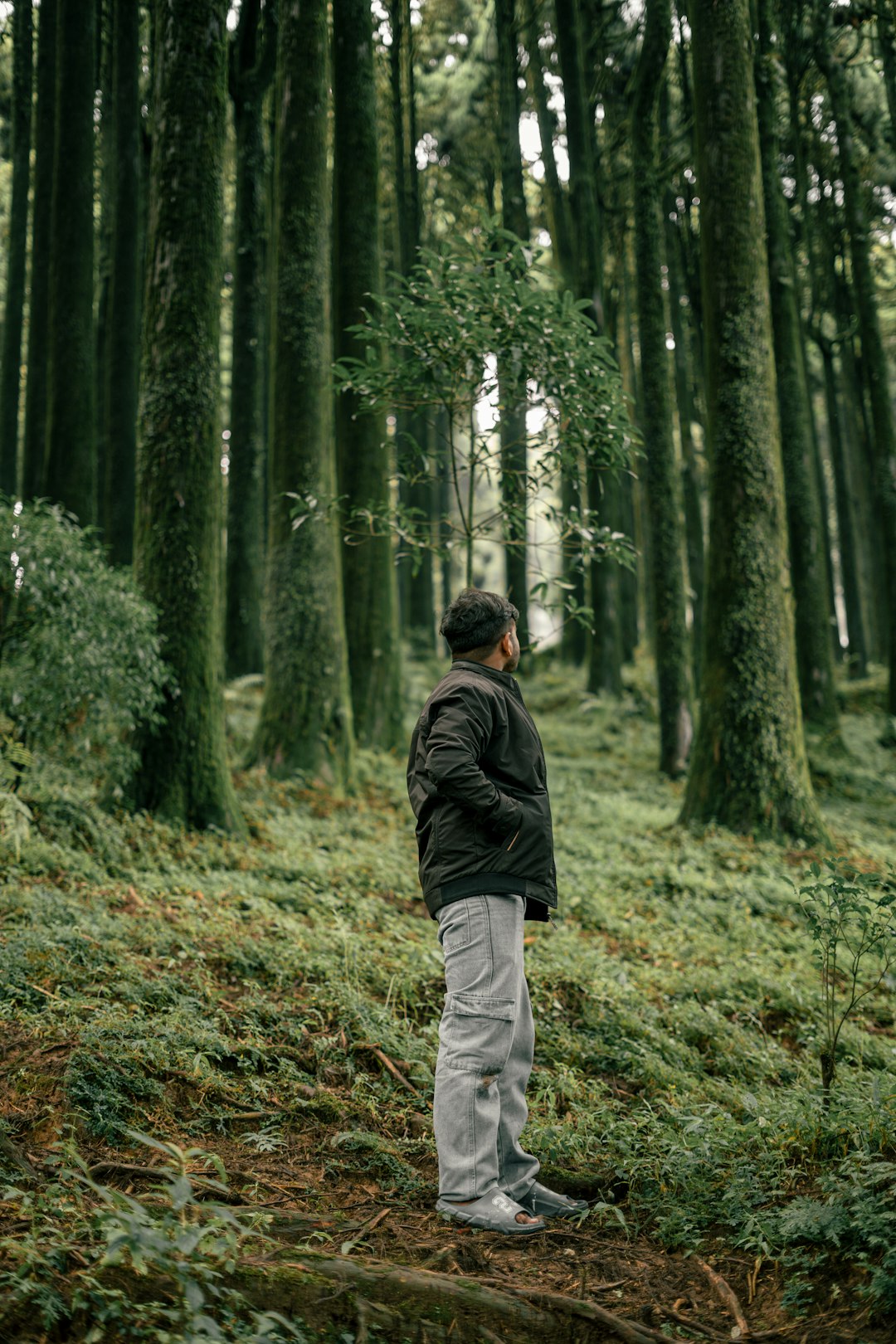 Jean-Luc Reichmann Mesure