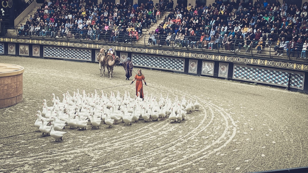 Marc Lavoine morphologie et carrière