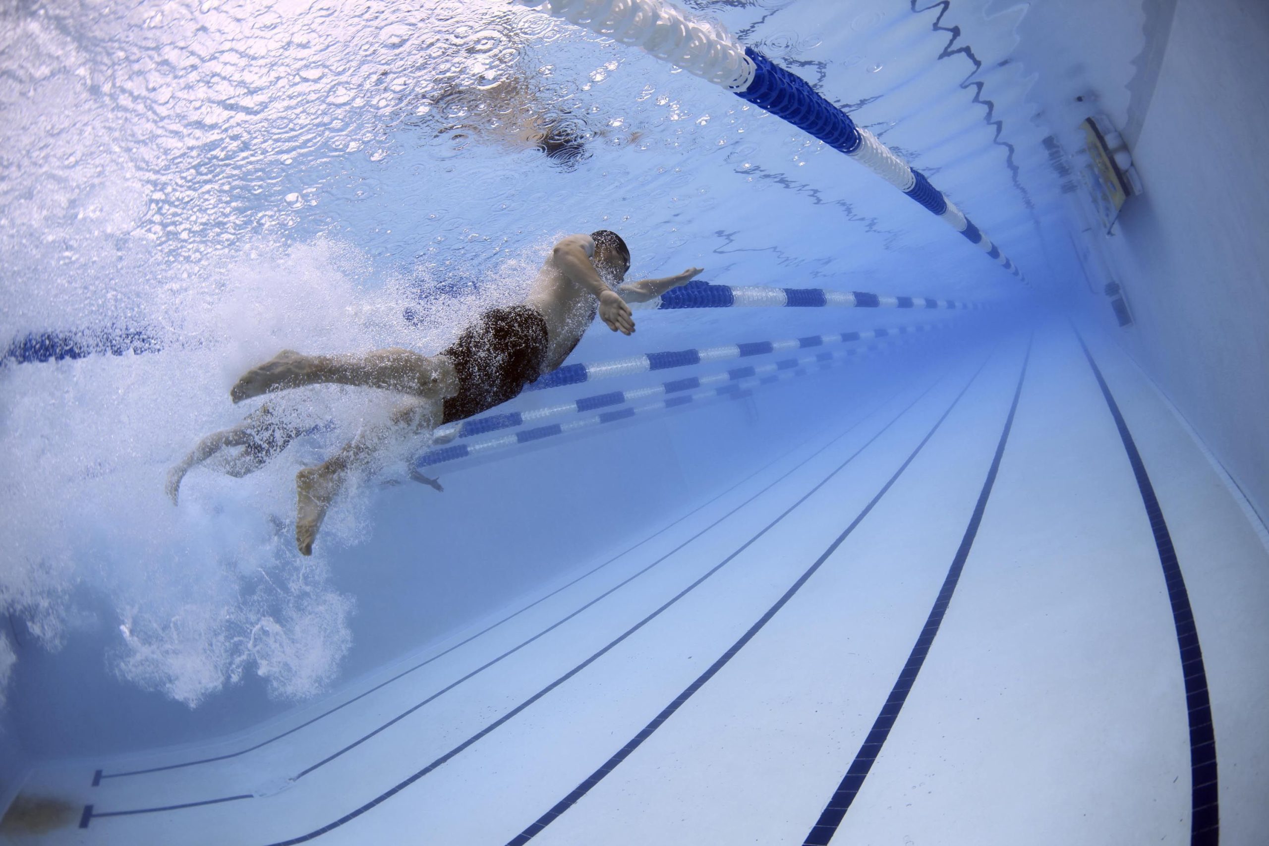 Dynamic image of swimmers in an underwater pool race showcasing freestyle techniques. Image dynamique de nageurs dans une course de piscine sous-marine mettant en avant les techniques de nage libre.