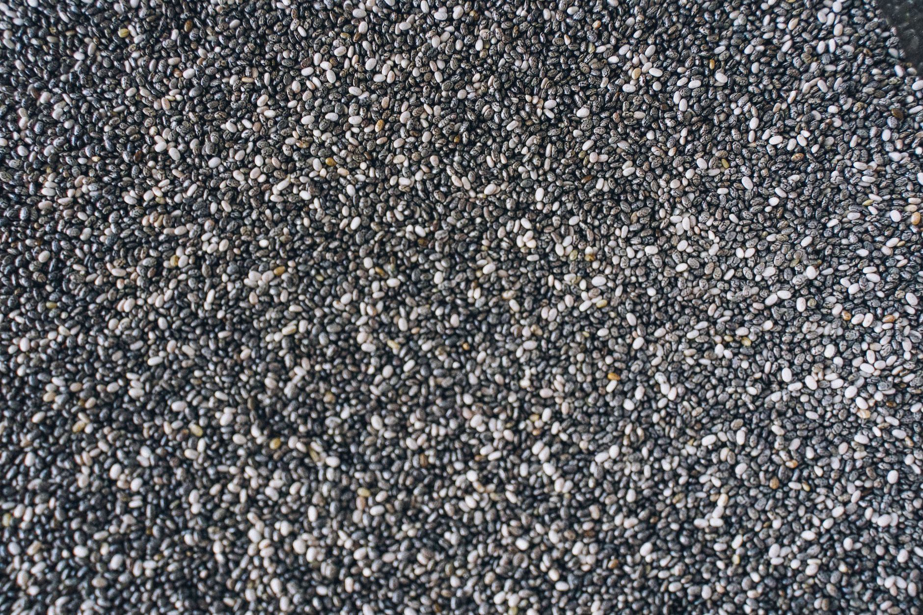 Gros plan sur des graines de chia noires