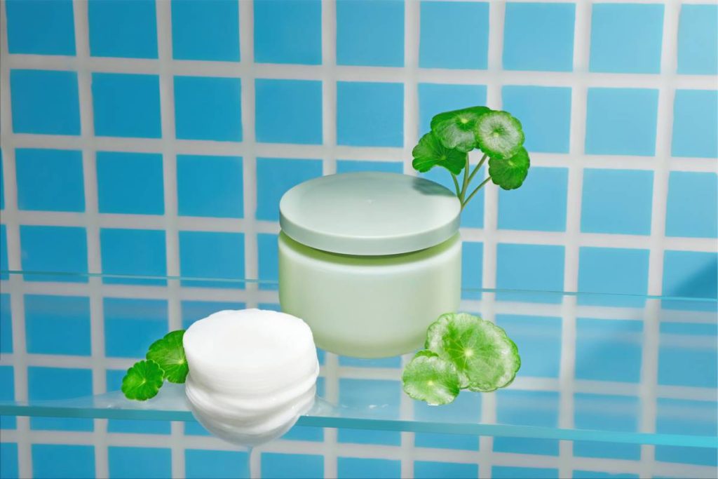 Centella asiatica, plante apaisante aux quatre triterpènes actifs